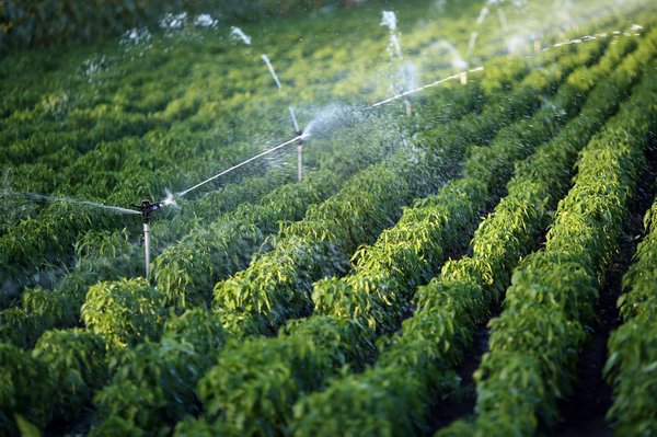 Quels sont les développements récents dans les systèmes de stockage d'énergie par air comprimé ?